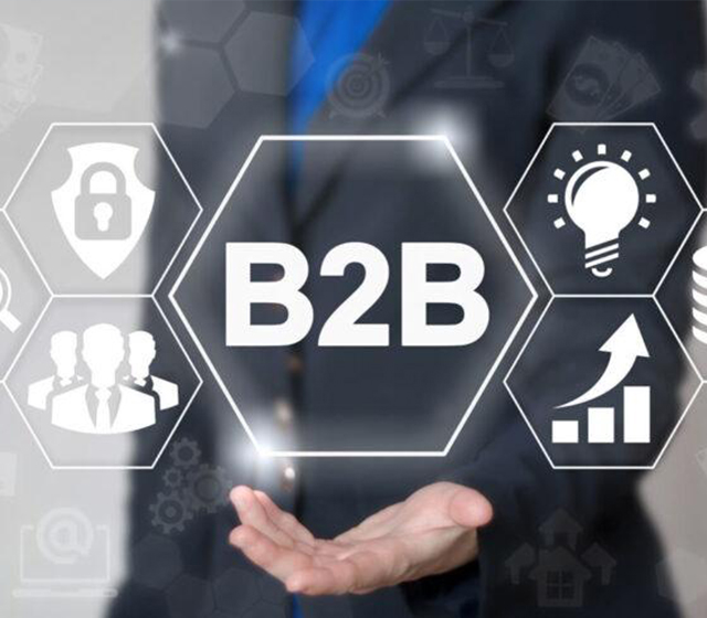 Özel B2B Yazılımı Nedir?