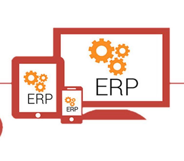 Özel ERP Yazılımı Nedir?